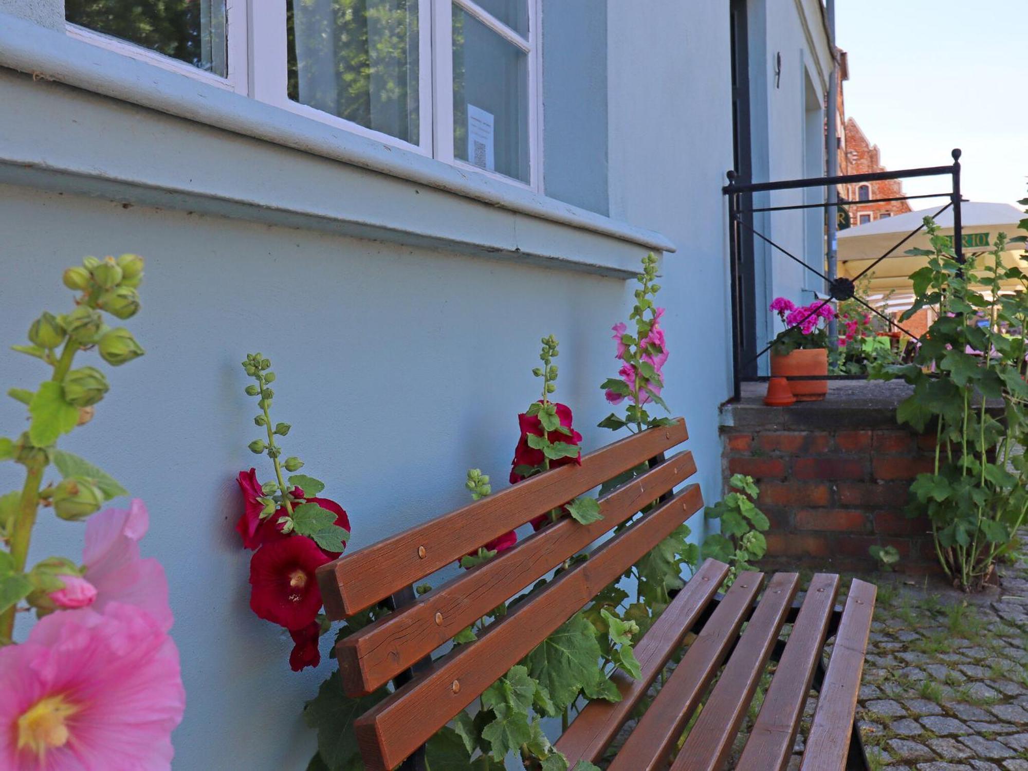 Modern Apartment With Garden In Wißmar エクステリア 写真